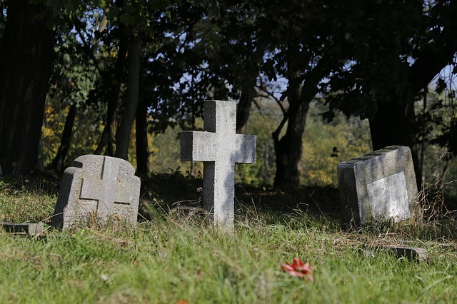 cmentarz wojenny